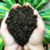 Vermicompost Powder (10 kg)